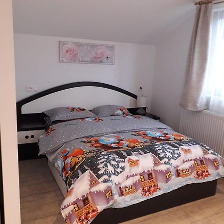 Cazare Regim Hotelier Zărneşti Exteriér fotografie
